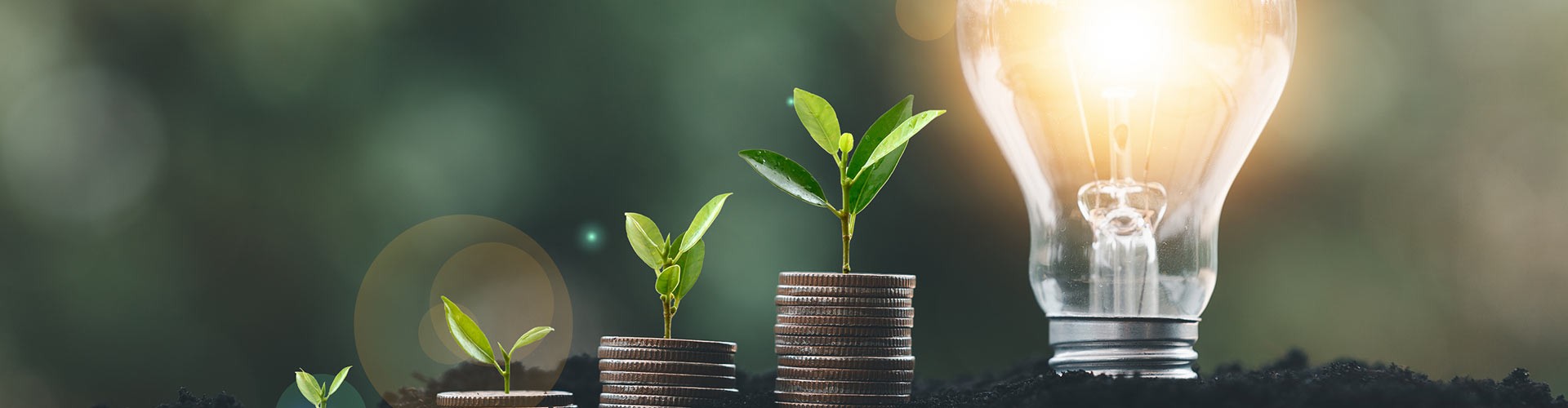 Ahorro de energía en 10 pasos