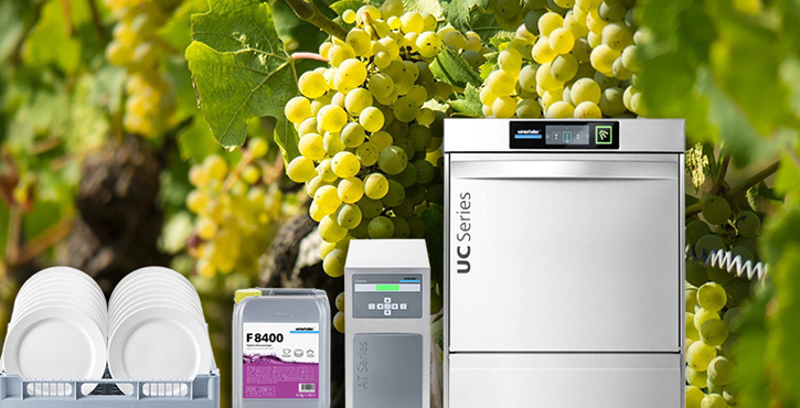 blog_winterhalter-vinicola